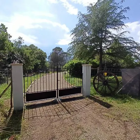 Maison Avec Jardin Clos, Catus